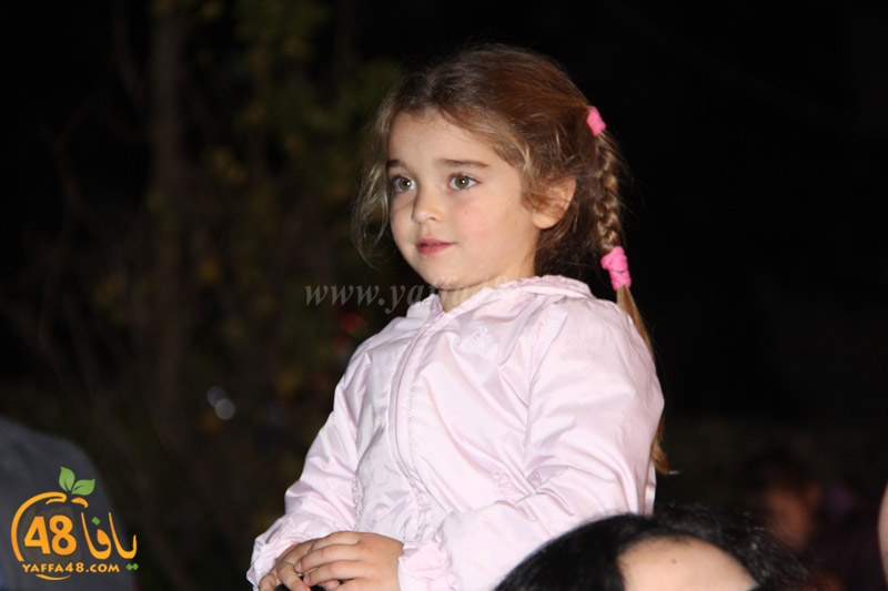 tree xrismass (21).JPG